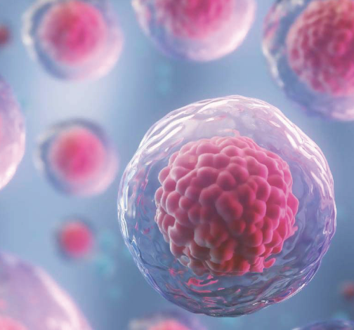 BIOT株主様限定:エクソソーム点滴10mL