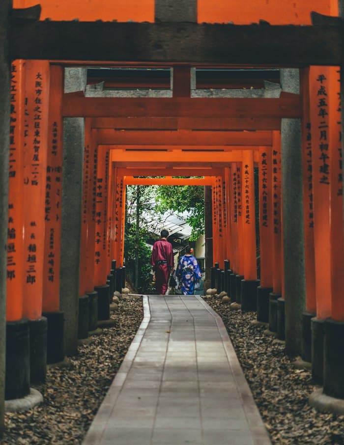 Two people seen from behind, walking along a path lined with vermilion torii gates