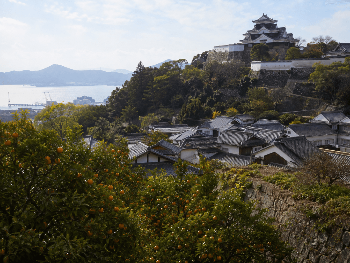愛媛県の参考風景
