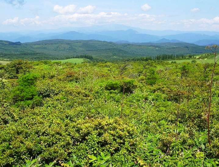 岩手県の参考風景
