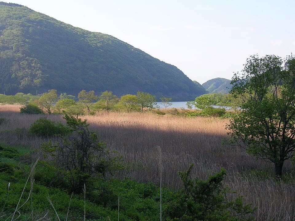 宮城県の参考風景