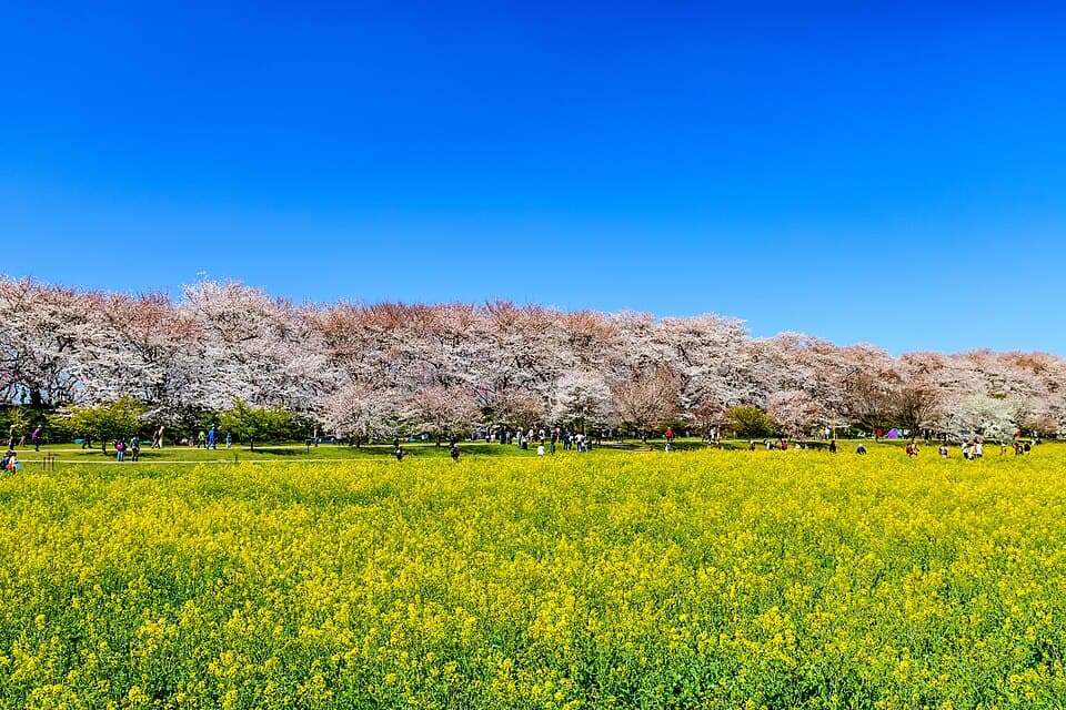埼玉県の参考風景