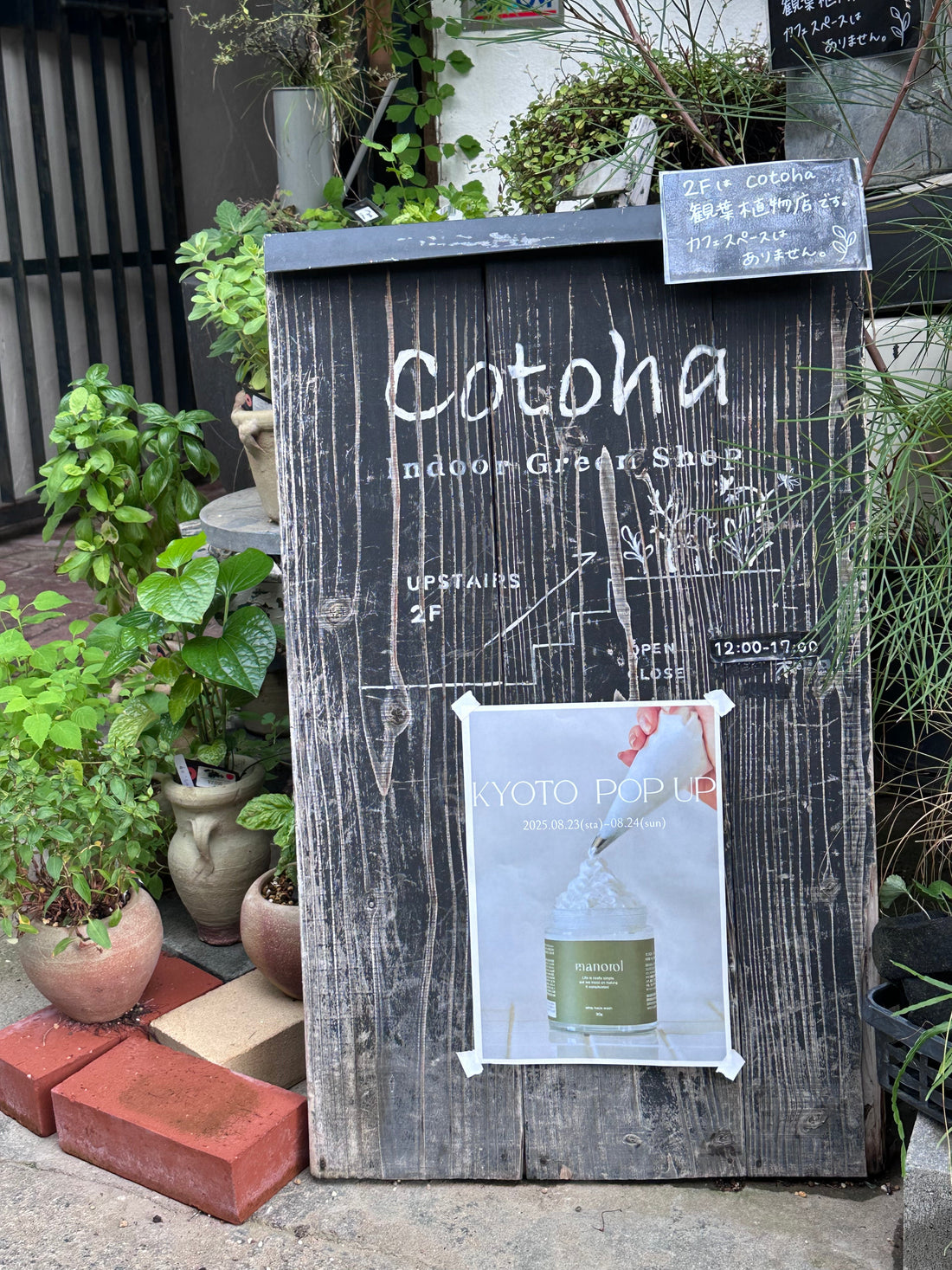 cotoha 観葉植物専門店