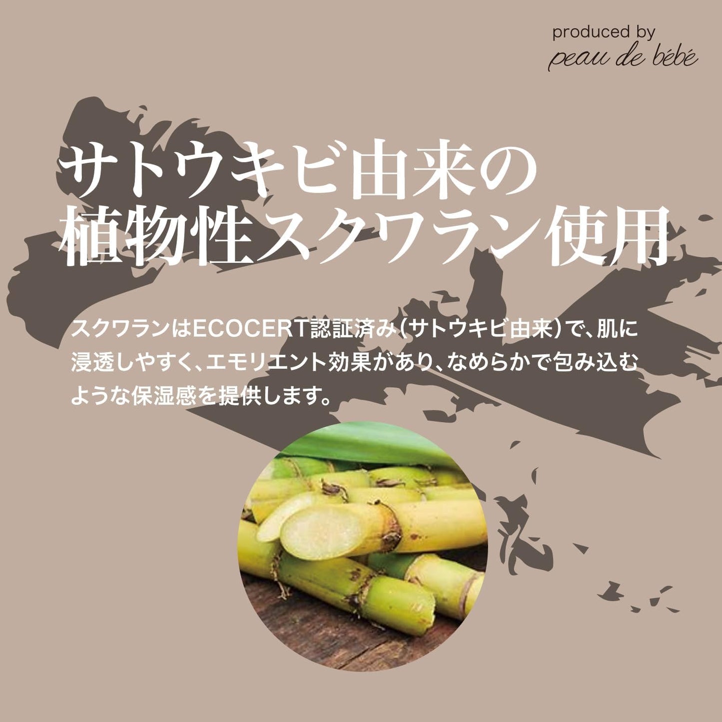 板野友美Produce オーガニックスキンケアセット「cici」