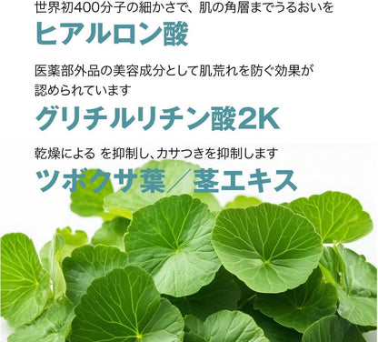PROSTEM BAEUTE　PDRN ハイドロセラム美容液