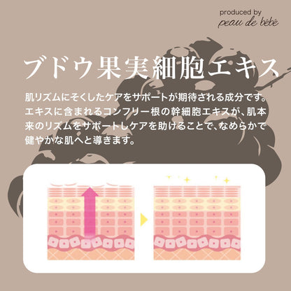 板野友美Produce オーガニックスキンケアセット「cici」