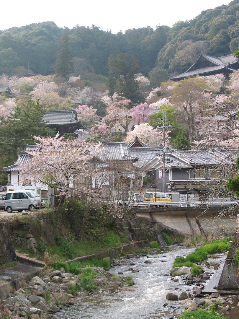 Reference photo of Nara